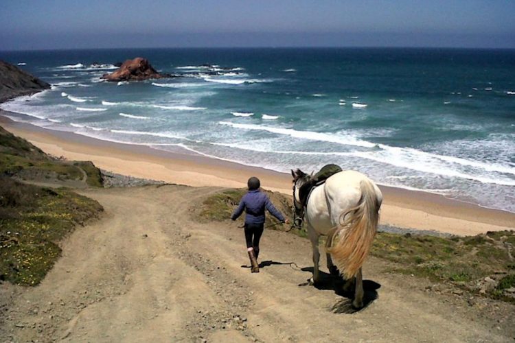 The Algarve sea views on a horseriding trip are simply incredible