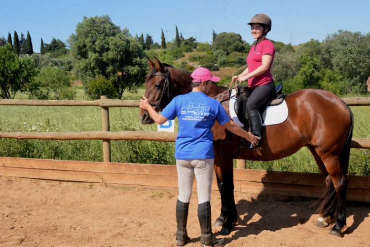 Horse riding days are perfect if you are a beginner or an expert
