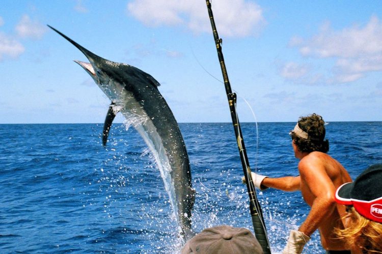 Fishing (2) Catching a swordfish whilst Deep Sea Fishing in the Algarve