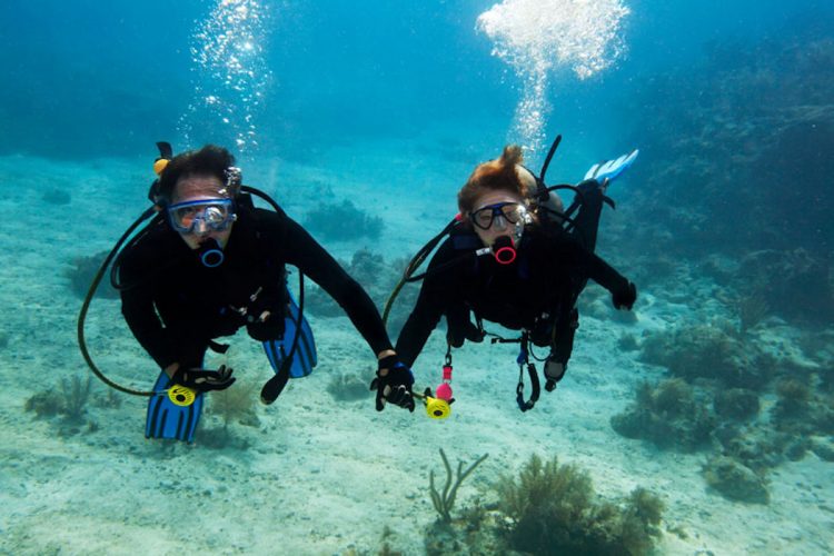 The coastline off the Algarve is perfect for diving of any experience