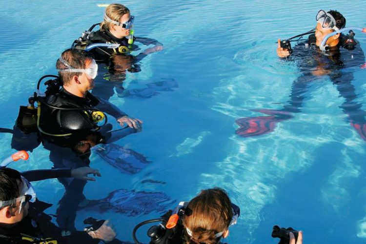 Take a 'Beginners' course and dive in the pool and the sea