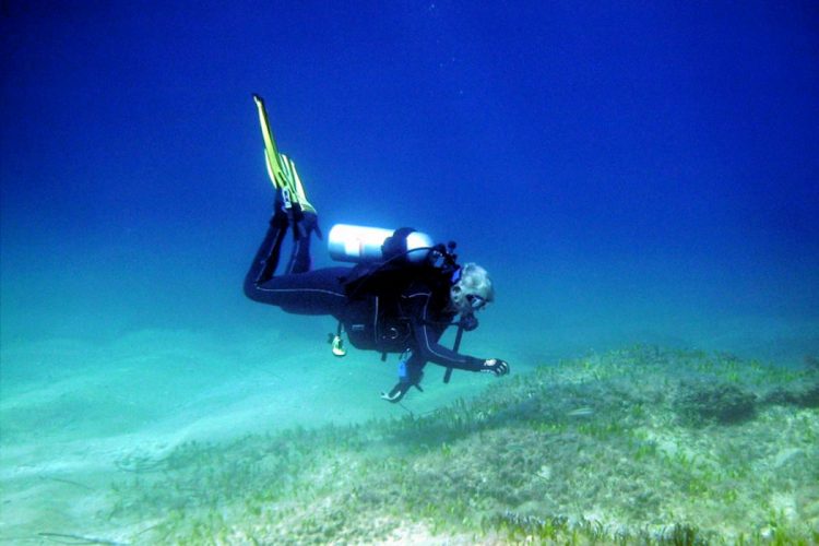 A curious Scuba diver taking a Dive Master course