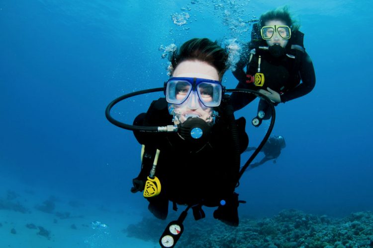 Enjoy our awesome underwater Scuba world when you stay at AltaVista