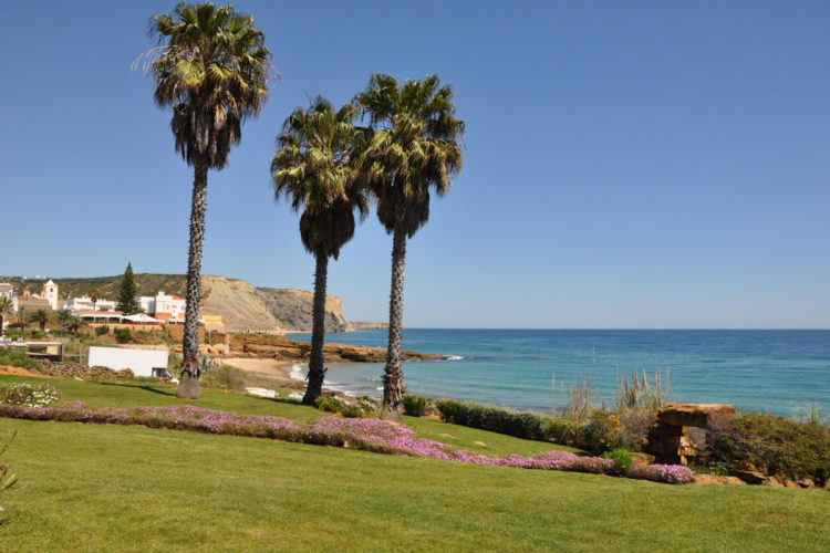 The view of Praia da Luz from the gardens with the three iconic Ocean Villas Palm trees